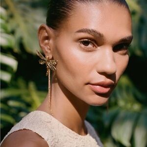 Zara Dragonfly Earrings NWT